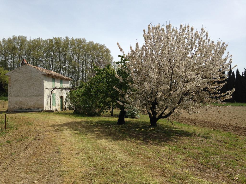 La Maison Du Peintre En Provence Mallemort Εξωτερικό φωτογραφία